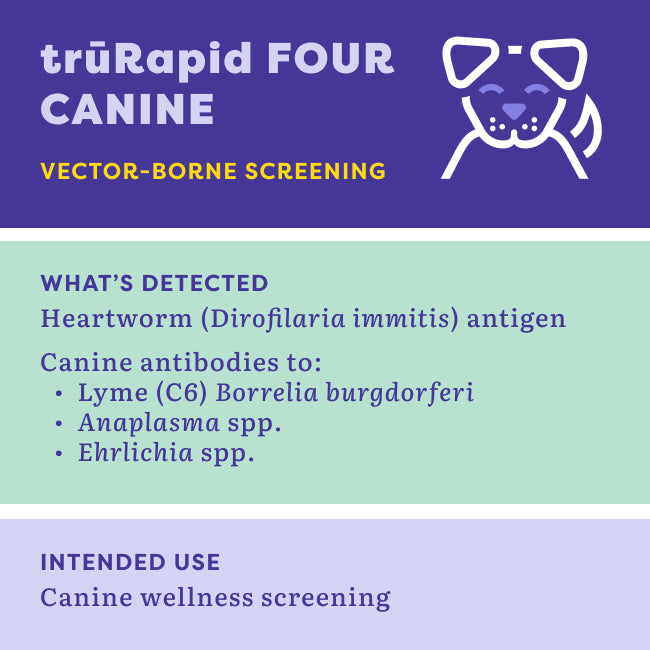 An informational graphic for trürRapid FOUR CANINE vector-borne screening, showing a purple header with a dog icon, a light green section detailing detected heartworm and canine antibodies, and a light lavender section stating intended use for canine wellness screening.
