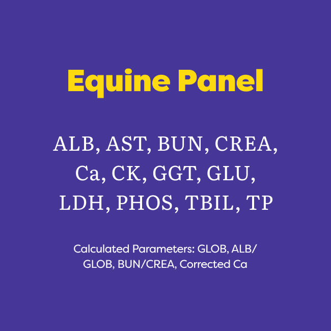 A purple informational graphic with yellow and white text reading 'Equine Panel' and listing serum parameters such as ALB, AST, BUN, CREA, Ca, CK, GGT, GLU, LDH, PHOS, TBIL, TP, plus calculated parameters.