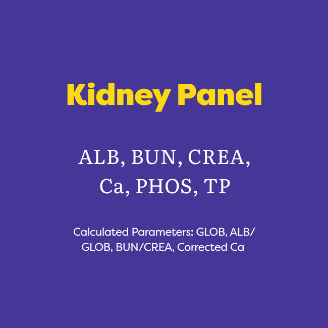A purple informational graphic with yellow and white text reading 'Kidney Panel' and listing parameters such as ALB, BUN, CREA, Ca, PHOS, and TP.